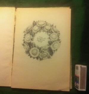 Vom Königreich der kleinen Dinge - antik Bilderbuch ( Pflanzen, Blumen ) #Rarität