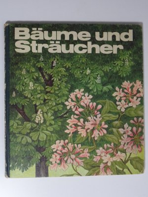 gebrauchtes Buch – Regine Süßkow – Bäume und Sträucher