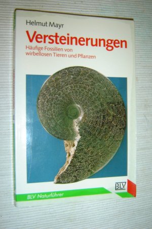 Versteinerungen