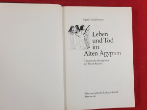 gebrauchtes Buch – Sigrid Hodel-Hoenes – Leben und Tod im Alten Ägypten