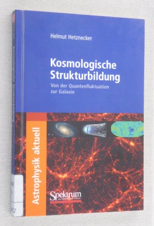 Kosmologische Strukturbildung - Von der Quantenfluktuation zur Galaxie