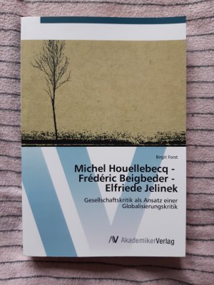 Michel Houellebecq - Frédéric Beigbeder - Elfriede Jelinek: Gesellschaftskritik als Ansatz einer Globalisierungskritik