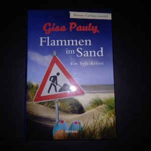 gebrauchtes Buch – Gisa Pauly – Flammen im Sand