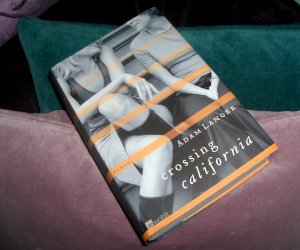 gebrauchtes Buch – Adam Langer – Crossing California