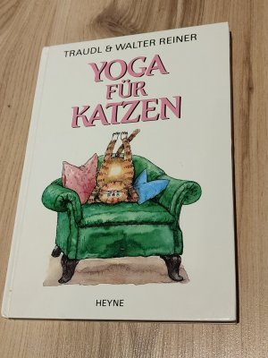 Yoga fr Katzen