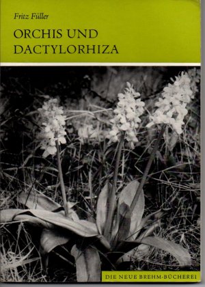 gebrauchtes Buch – Fritz Füller – Die Gattungen Orchis und Dactylorhiza. Orchideen Mitteleuropas, 3. Teil. Mit 148 Abbildungen und 4 Farbtafeln.