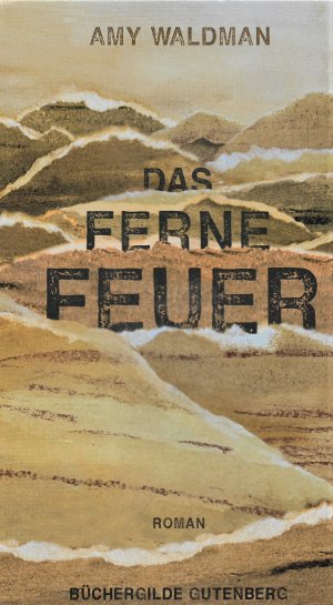 gebrauchtes Buch – AMY WALDMANN – DAS FERNE FEUER