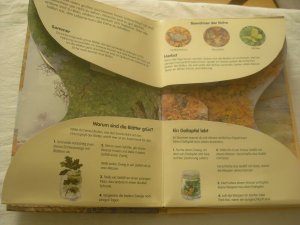 gebrauchtes Buch – shirley felts – bäume wunder der natur - pop up buch