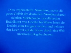 gebrauchtes Buch – Effi Biedrzynski – Das große deutsche Novellenbuch