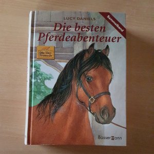 gebrauchtes Buch – Lucy Daniels – Die besten Pferdeabenteuer