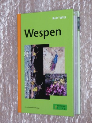 Wespen - 2. neubearbeitete Auflage - beobachten, bestimmen