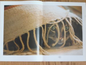 gebrauchte Buecher