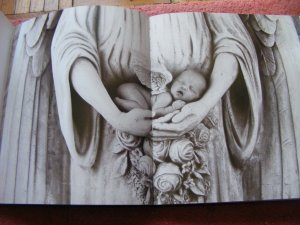 gebrauchtes Buch – Anne Geddes – Fantasy-Baby-Foto-Buch-Willkommen