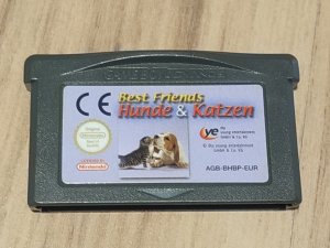 Best Friends - Hunde und Katzen