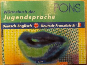 Wörterbuch der Jugendsprache. Deutsch-Englisch /Deutsch-Französisch