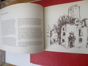 gebrauchtes Buch – Georg Hetzelein – Burgen und Schlösser im Landkreis Roth SIGNIERT