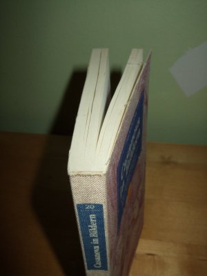 gebrauchtes Buch – Casanova, Giacomo Girolamo und Jules Adolphe Chauvet – Casanova in Bildern.  - Mit 102 Radierungen von Jules Adolphe Chauvet