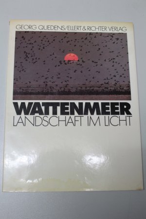 Wattenmeer Landschaft im Licht