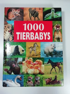 gebrauchtes Buch – Ulrike Schöber – 1000 Tierbabys