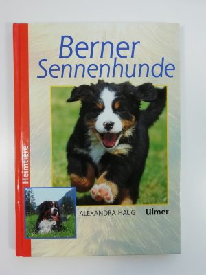 gebrauchtes Buch – Alexandra Haug – Berner Sennenhunde