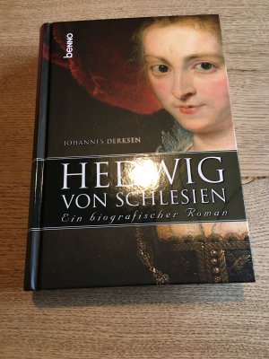 gebrauchtes Buch – Johannes Derksen – Hedwig von Schlesien ein biografischer Roman