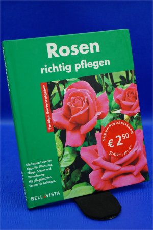 Rosen richtig pflegen + :::Geschenk:::