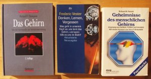 Drei Bücher: Das Gehirn: Von der Nervenzelle zur Verhaltenssteuerung + Denken, Lernen, Vergessen: Was geht in unserem Kopf vor, wie lernt das Gehirn, […]