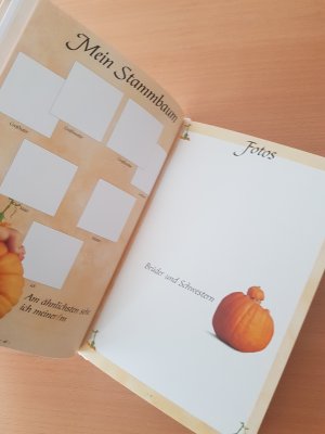 gebrauchtes Buch – Anne Geddes – Das Album meiner Kindheit - Die ersten fünf Jahre