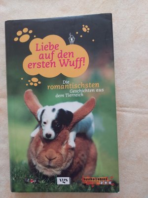 Liebe auf den ersten Wuff!