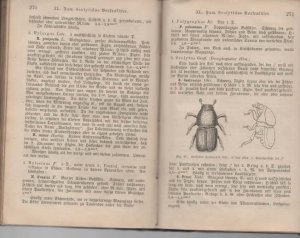 gebrauchtes Hörbuch – b0777 Naturgeschichte der in Deutschland einheimischen Käfer