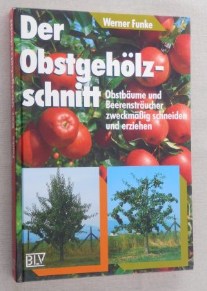 Der Obstgehölzschnitt