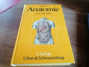 Anatomie