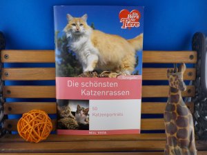 gebrauchtes Buch – Die schönsten Katzenrassen