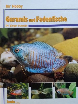 gebrauchtes Buch – Jürgen Schmidt – Ihr Hobby: Guramis und Fadenfische