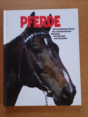 Pferde