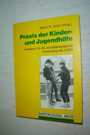 gebrauchtes Buch – Textor, Martin R – Praxis der Kinder- und Jugendhilfe