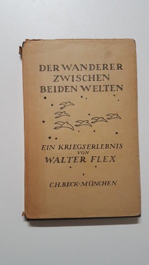 Der Wanderer zwischen beiden Welten. Ein Kriegserlebnis