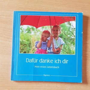 gebrauchtes Buch – Dafür danke ich dir