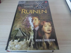 gebrauchtes Buch – Anderson, Kevin J – Ruinen