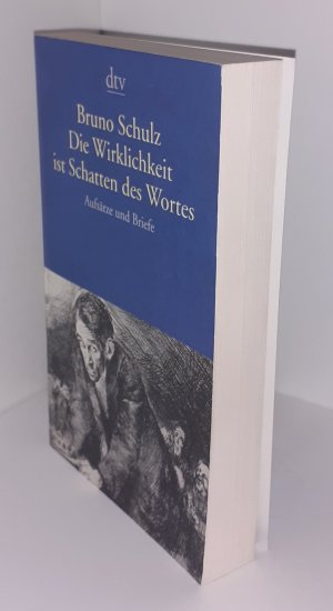 Gesammelte Werke / Die Wirklichkeit ist Schatten des Wortes - Aufsätze und Briefe