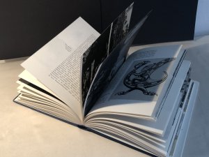 gebrauchtes Buch – Däniken, Erich von – Meine Welt in Bildern.