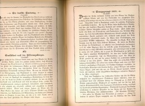 antiquarisches Buch – J. Scheibert – "Deutsches Werden und Walten" 1899