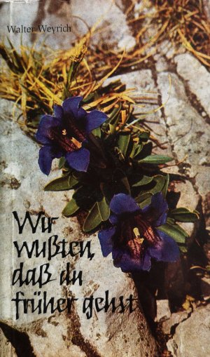 gebrauchtes Buch – Walter Weyrich – Wir wußten, daß du früher gehst