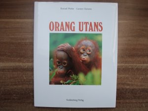 Orang-Utans - Die Waldmenschen von Borneo