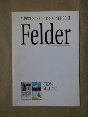 Elektrische und magnetische Felder - Strom im Alltag