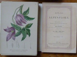 Atlas der Alpenflora. Herausgegeben vom Deutschen und Oesterreichischen Alpenverein. Nach der Natur gemalt von Anton Hartinger. Textbuch + 504 chromlithographierte […]