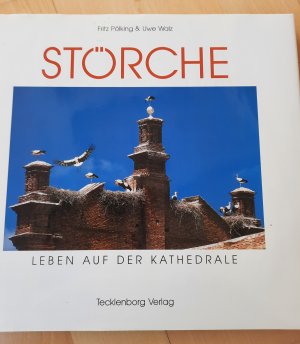 gebrauchtes Buch – Pölking, Fritz; Walz, Uwe – Störche - Leben auf der Kathedrale