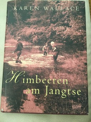 gebrauchtes Buch – Karen Wallace – Himbeeren am Jangtse