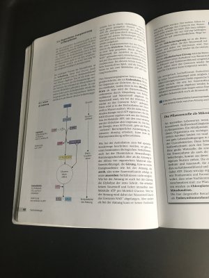 gebrauchtes Buch – Philipp, Eckhard; Starke – Grüne Reihe / Ökologie - Materialien für den Sekundarbereich II - Ausgabe 2004 / Schülerband