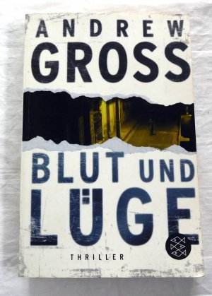 gebrauchtes Buch – Andrew Gross – Blut und Lüge